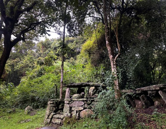 SACRED FOREST IN LIVANDA